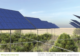 Agrarsolarsystem_11